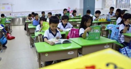 課后延時服務 從“看護”到“提質”，如何讓制度更成熟？